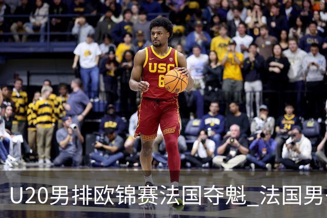 U20男排欧锦赛法国夺魁 法国男子排球赛季大满贯